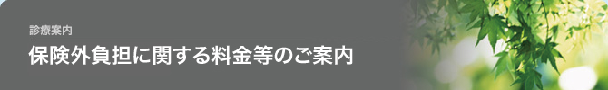 保険外負担に関する料金等のご案内